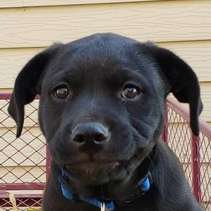 Meet your Posher, Melani